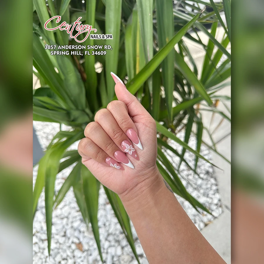 Century Nails